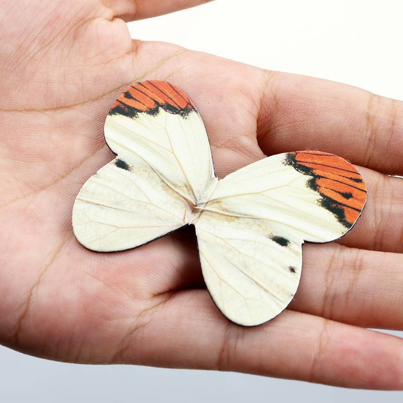 4ชิ้น/แพ็ค Butterfly Magnetic  - Bookmark Magnetic Clip บทวิจารณ์และราคา